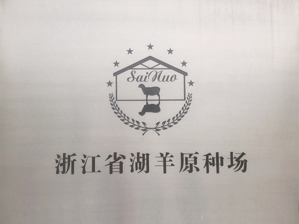 公司榮譽